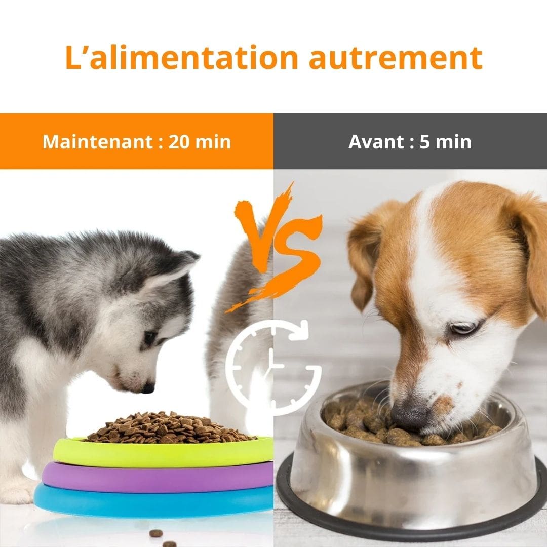 Bénéfices de notre gamelle puzzle sur l'alimentation des animaux