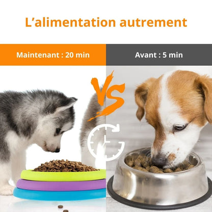 Bénéfices de notre gamelle puzzle sur l'alimentation des animaux