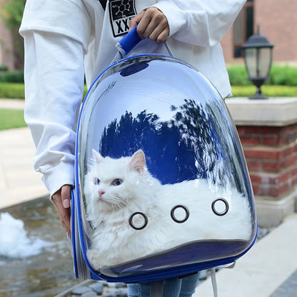 Sac à dos de transport avec un chat dedans