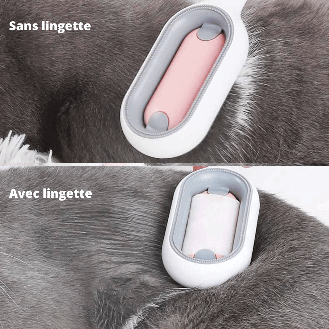 Choix de brosse avec et sans lingettes