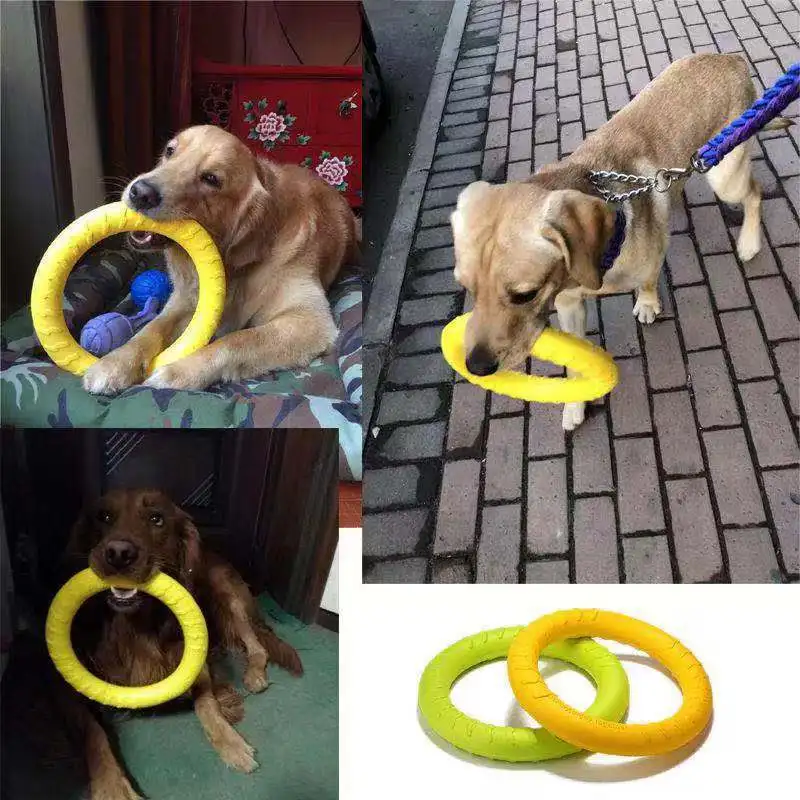 photos clients de chiens avec leur grand anneau