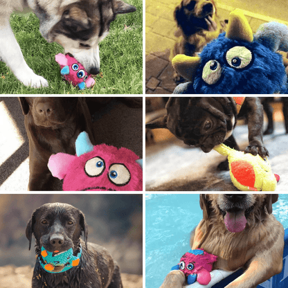 Photos clients de notre peluche pour chien - Monstre interactif
