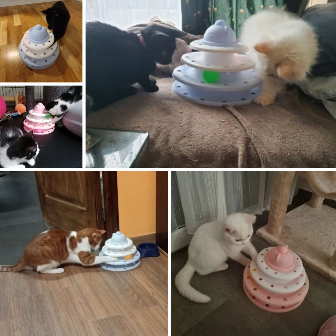 Photos clients de notre tour de jeu avec balles pour chat