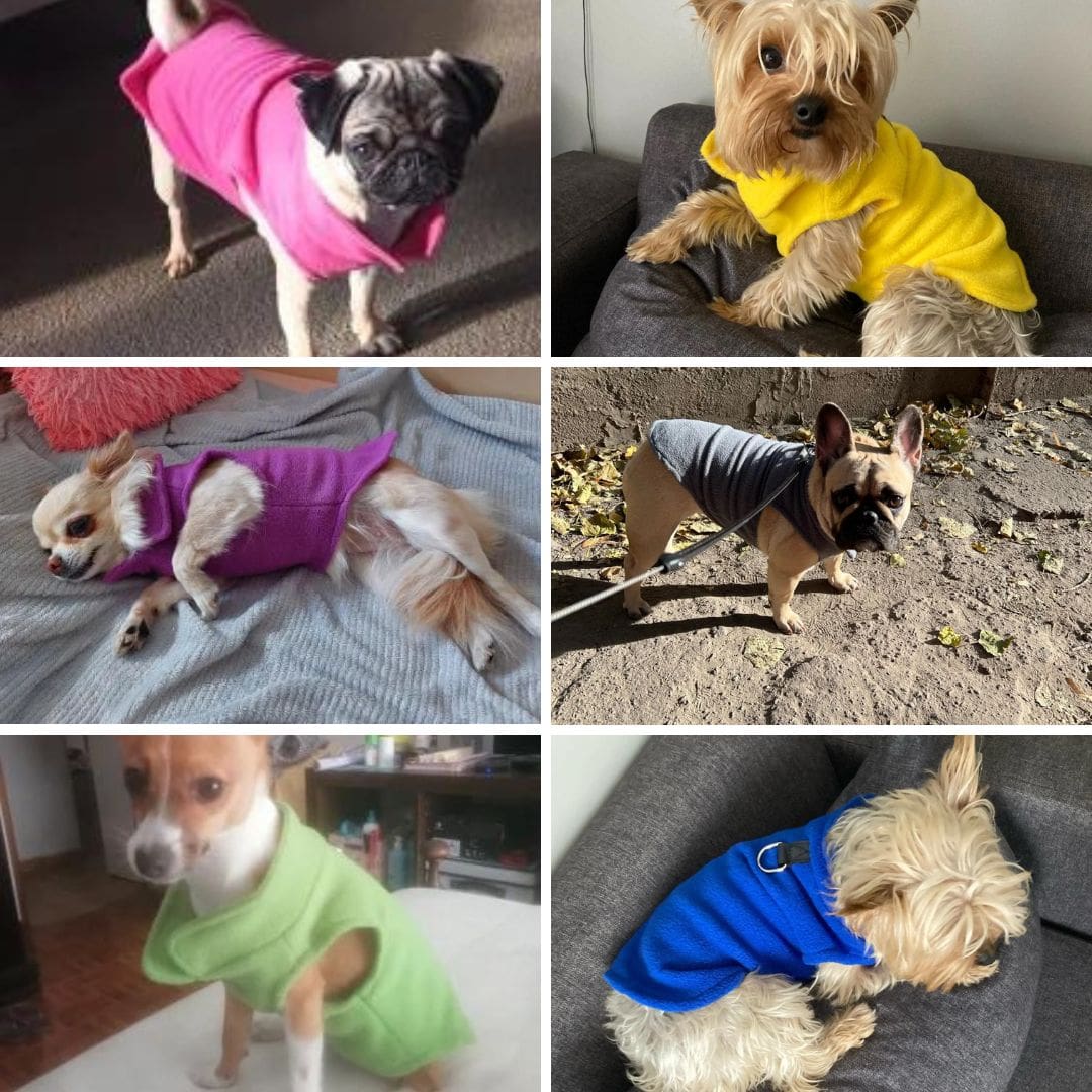 Photos clients de notre pull polaire simple pour chien