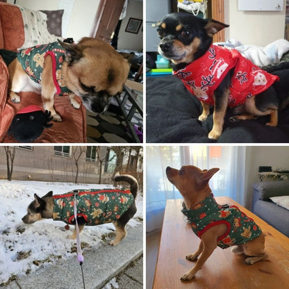 Veste imperméable pour chien - Edition Noël