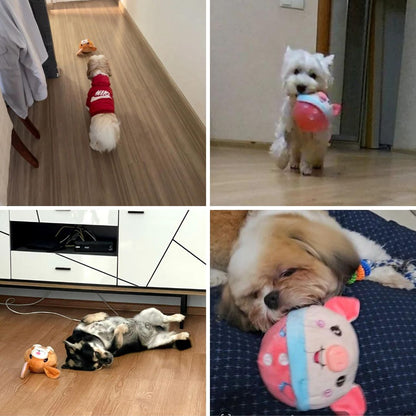 AniBall™ : Balle électronique pour chien