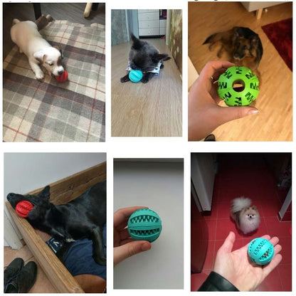 Avis clients de notre balle dentaire pour chien