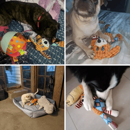 Photos clients de notre jouet à mâcher pour chien - Chien