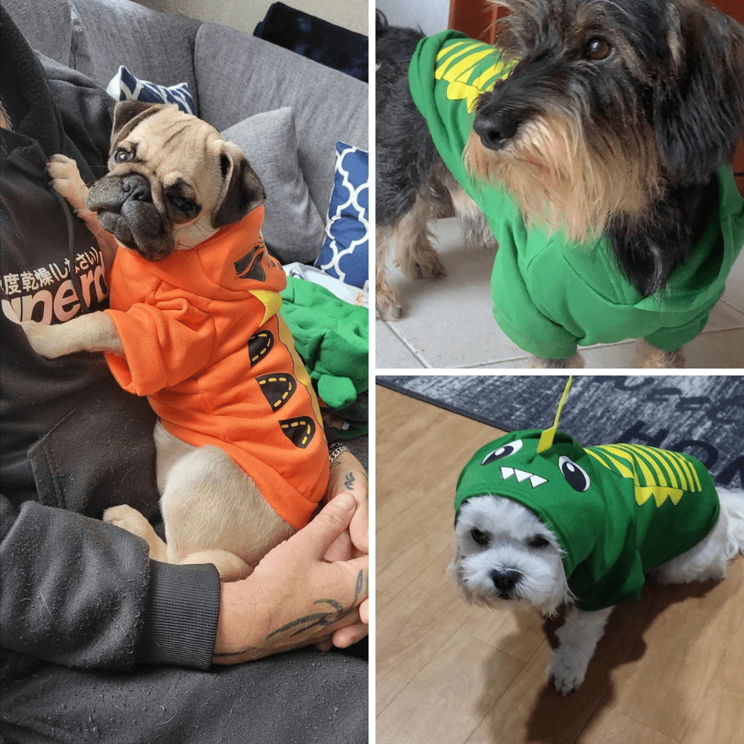 Pull pour chien - Animaux