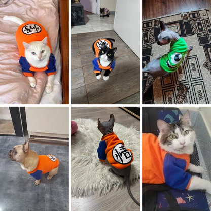 Photos clients pull pour chien et chat - Animés