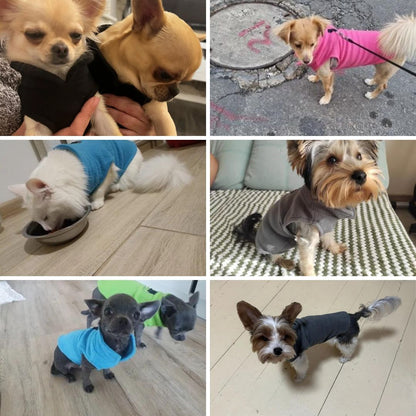 Photos clients de notre pull polaire simple pour chien