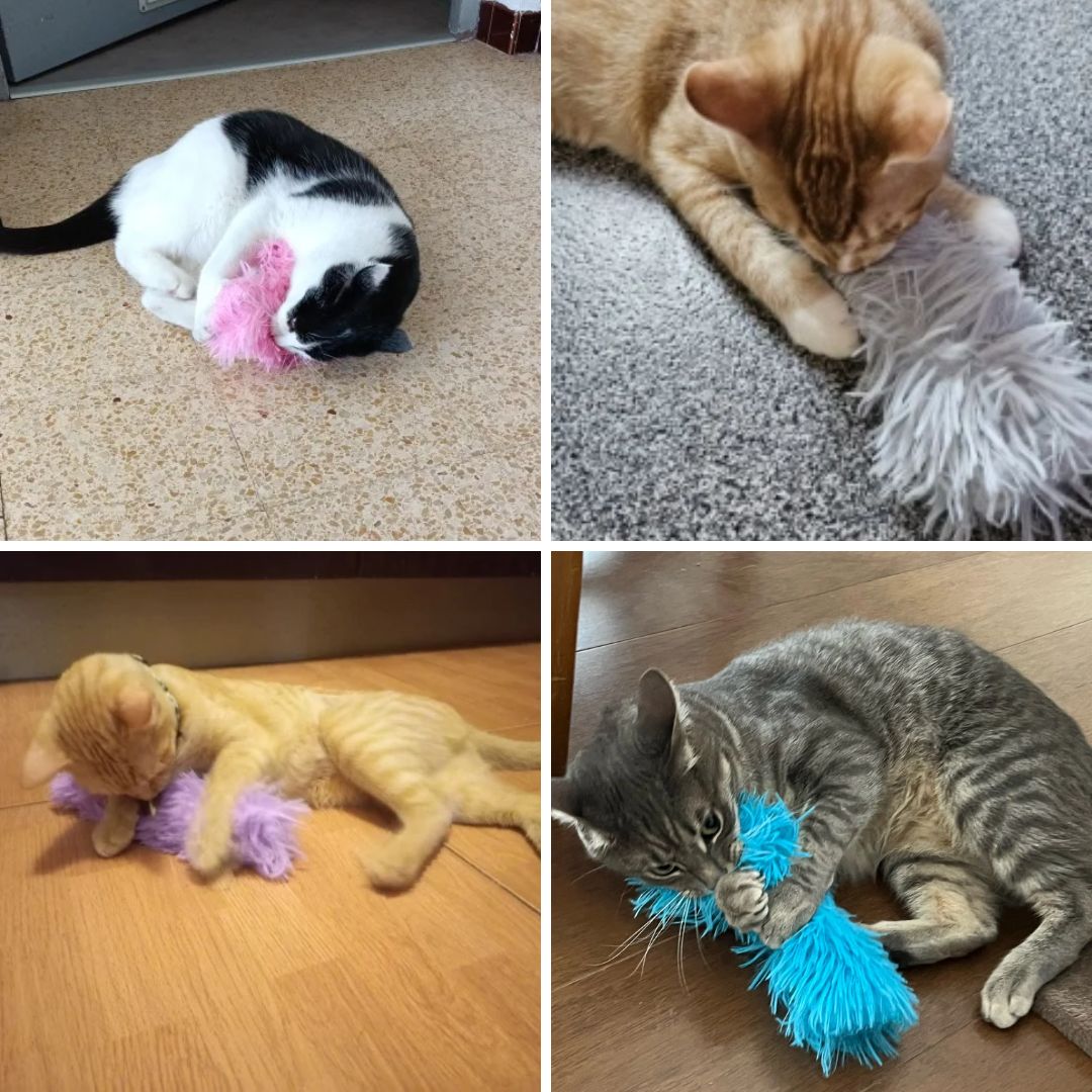 Photos clients de notre peluche couinante pour chat