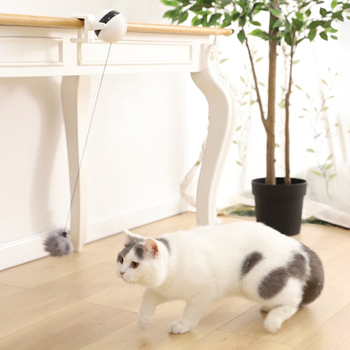B-Tech™ : Jeu interactif de balle suspendue pour chat