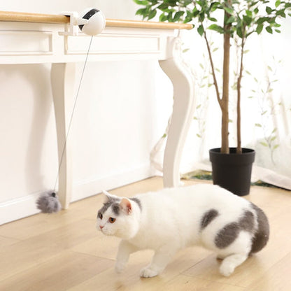 B-Tech™ : Jeu interactif de balle suspendue pour chat