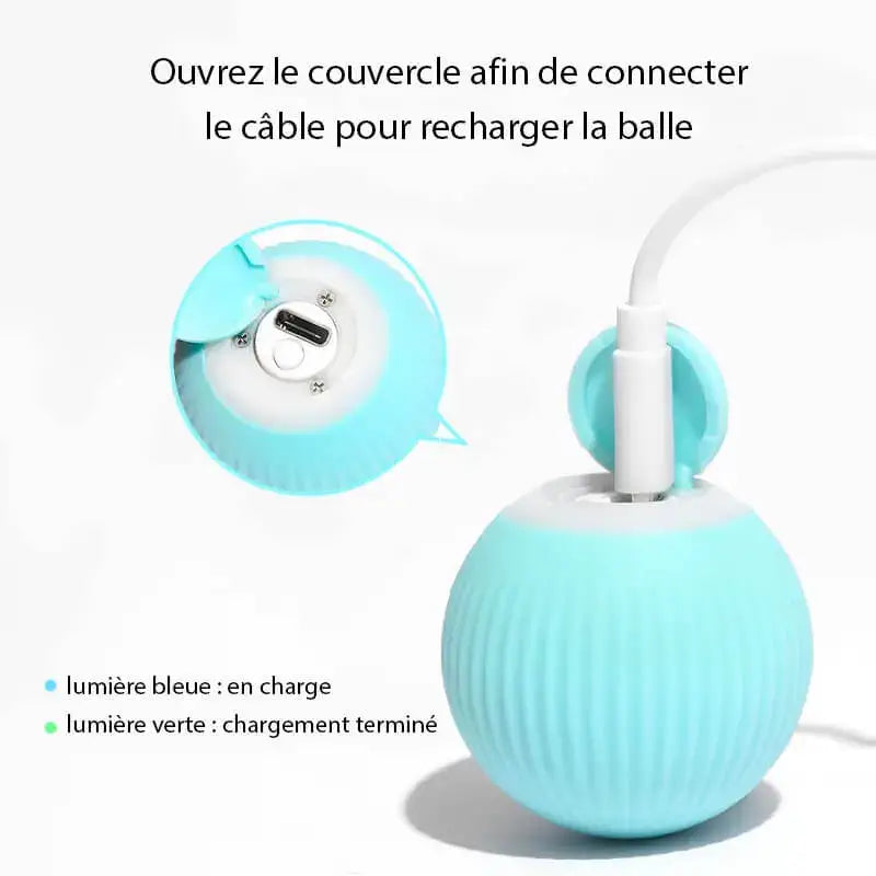 Balle interactive pour chat sans pile
