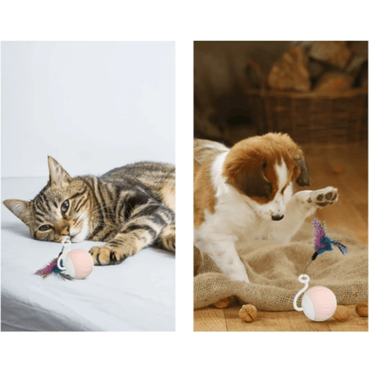 Photos clients de notre balle automatique à plume pour chat