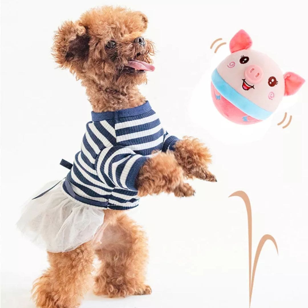 AniBall™ : Balle électronique pour chien