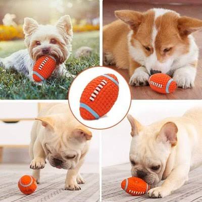 Chiens avec notre ballon de football américain