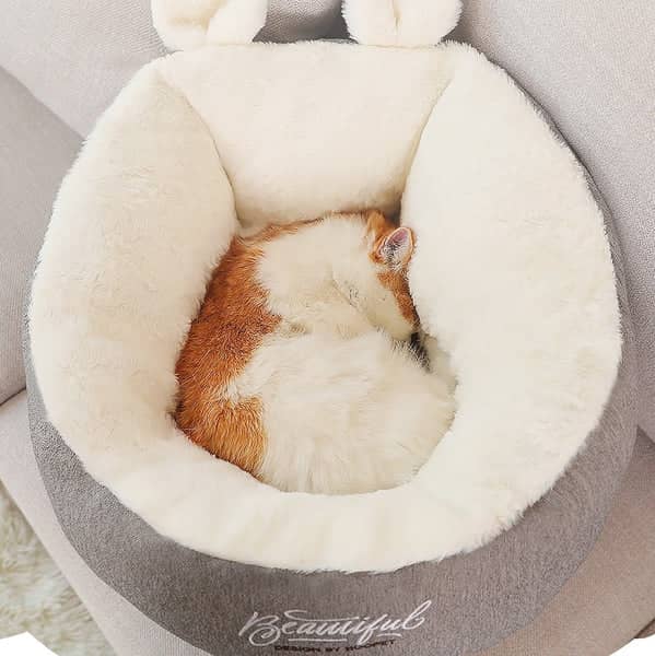 Chat dans un lit douillet en coton pour chat