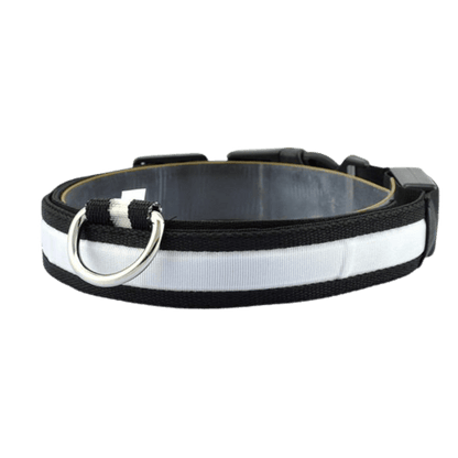 Collier lumineux LED noir  en nylon pour chien et chat