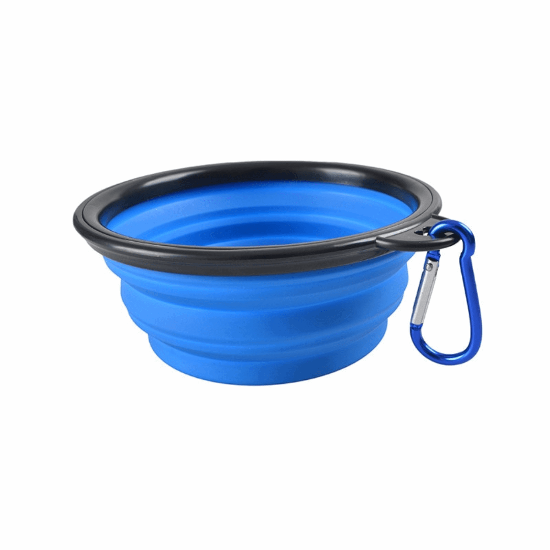 Gamelle de voyage bleue pour chien