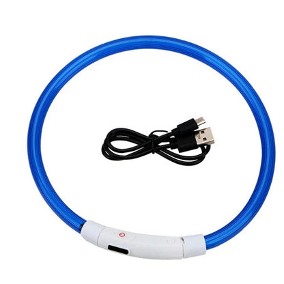 Collier à LED bleu pour chien