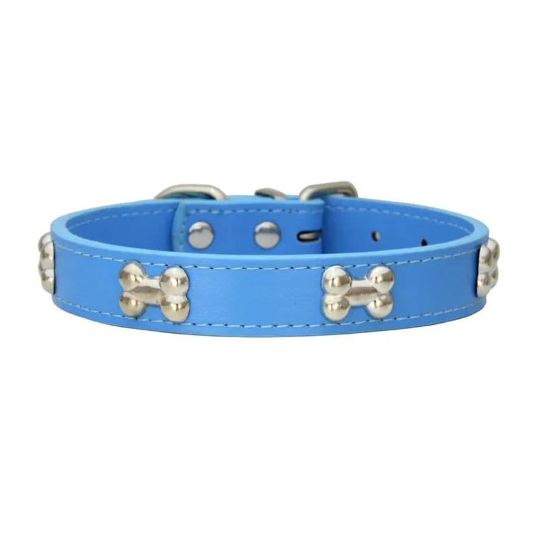Collier bleu à motifs os pour chien et chat
