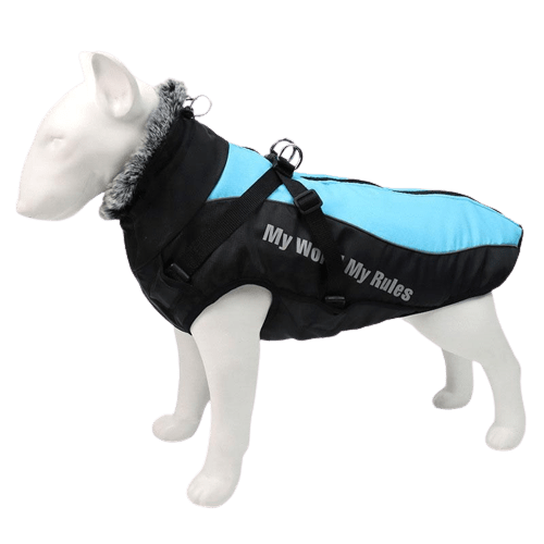 Veste imperméable bleue pour chien