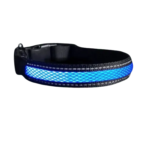 Collier bleu en nylon avec lumière Led pour chien