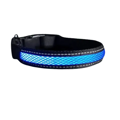 Collier bleu en nylon avec lumière Led pour chien