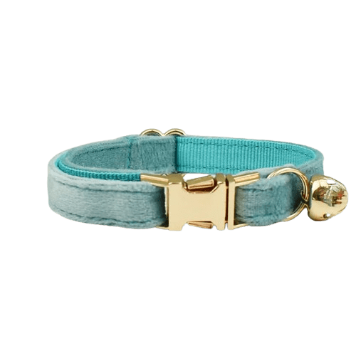 Collier bleu azur en velours pour chat