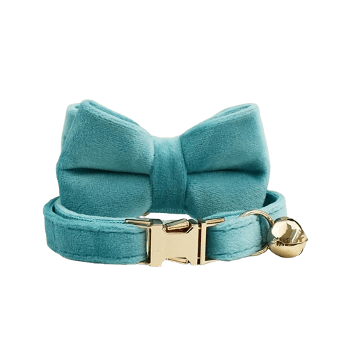 Collier bleu azur en velours avec noeud pour chat