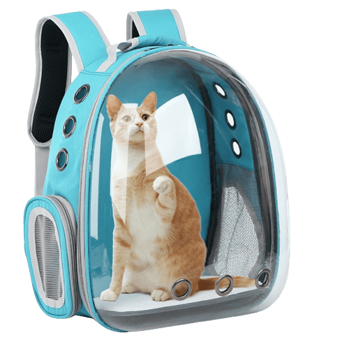 Sac à dos de transport bleu clair pour chien et chat