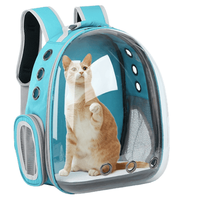 Sac à dos de transport bleu clair pour chien et chat