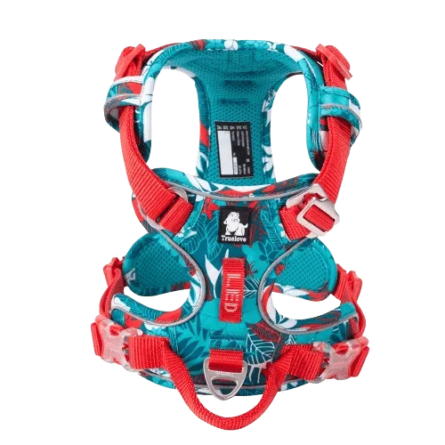 Harnais anti traction bleu clair pour chien - Edition Floral