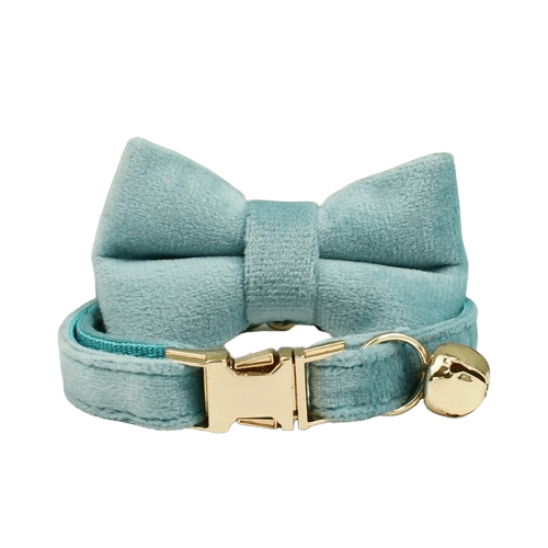 Collier bleu clair en velours avec noeud pour chat