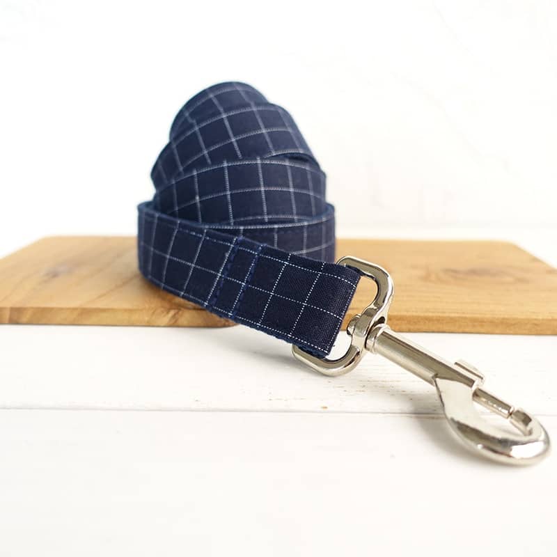 Laisse design bleue pour animaux