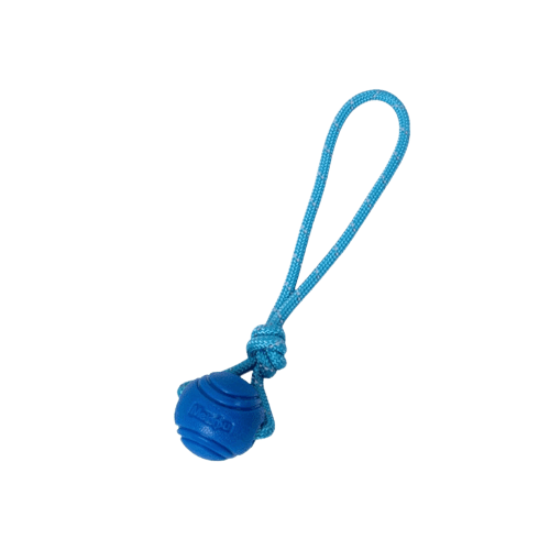 Balle en caoutchouc bleue avec ficelle pour chien