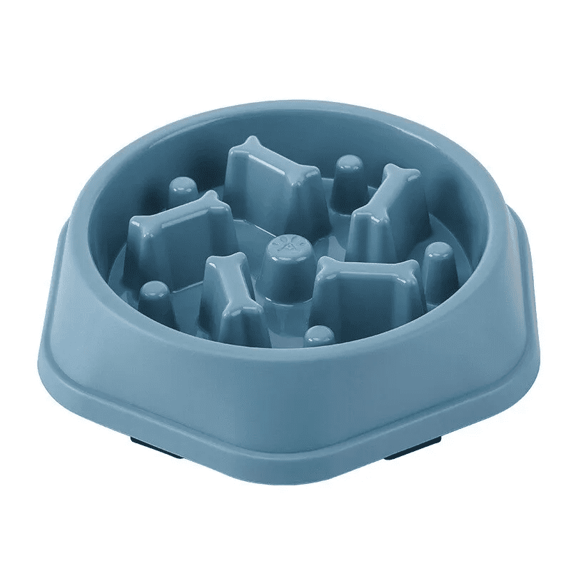 Gamelle anti-glouton bleue motif os pour chien et chat