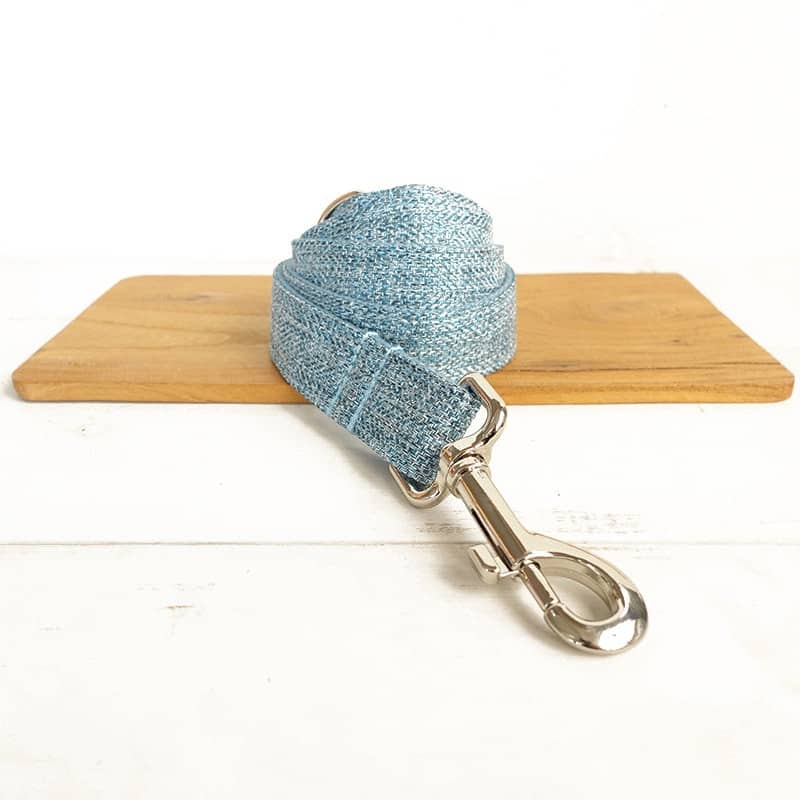 Laisse design bleue claire pour animaux