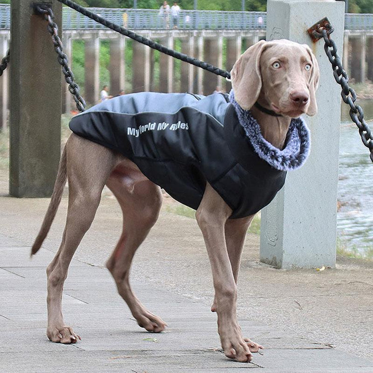 Veste imperméable avec col fourrure pour grand chien