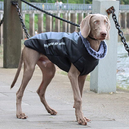Veste imperméable avec col fourrure pour grand chien