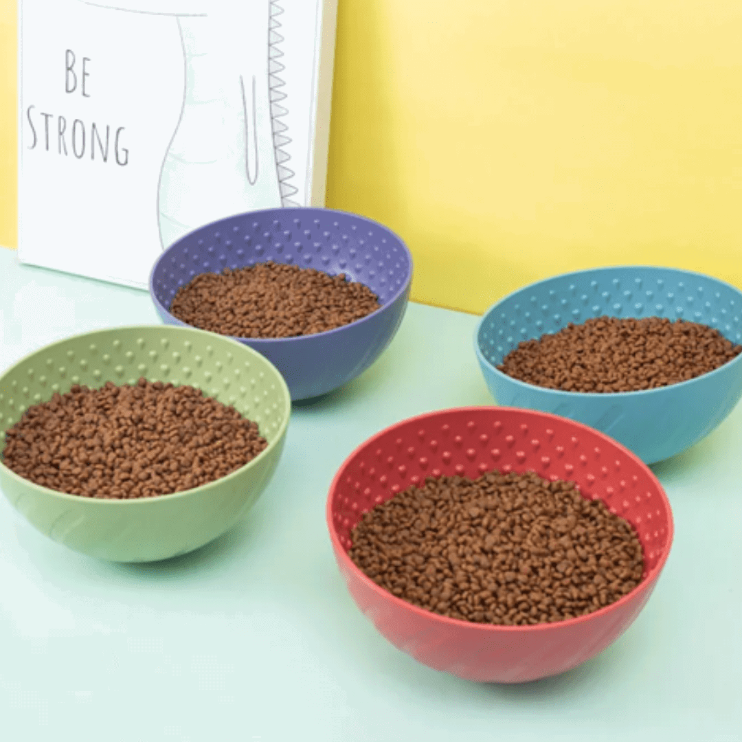 Différents coloris de notre bol à lécher pour chien