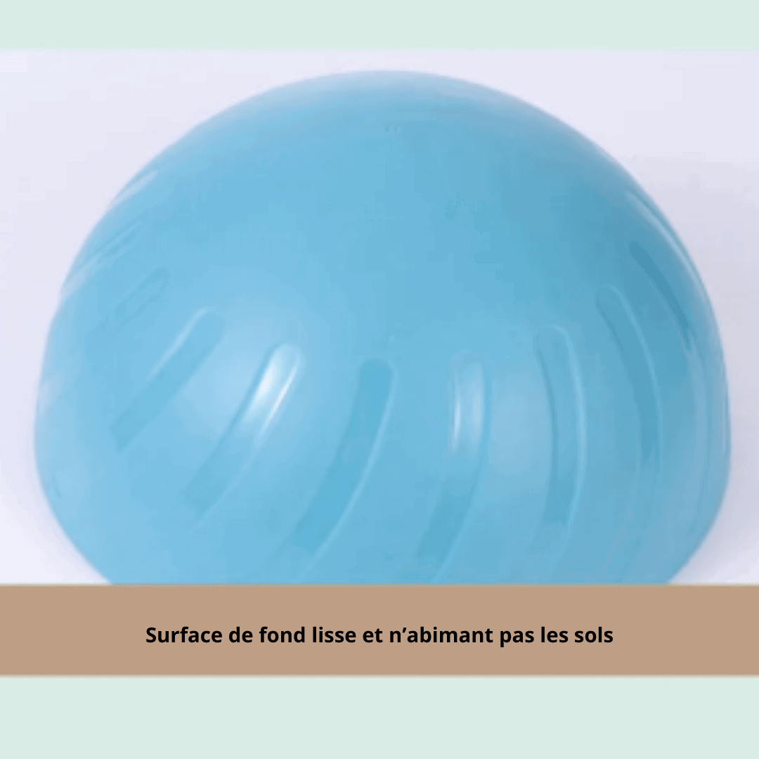 Bol à lécher pour chien