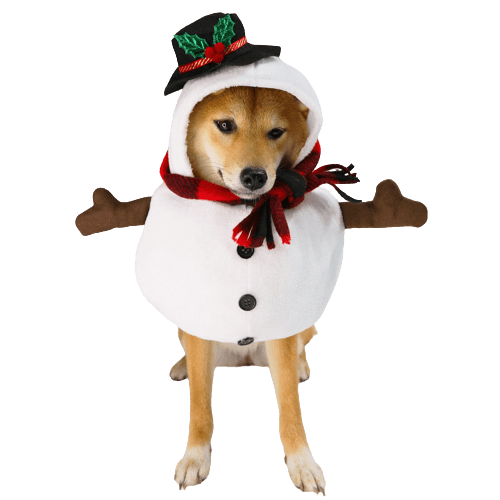 Déguisement pour chat et chien - Bonhomme de neige