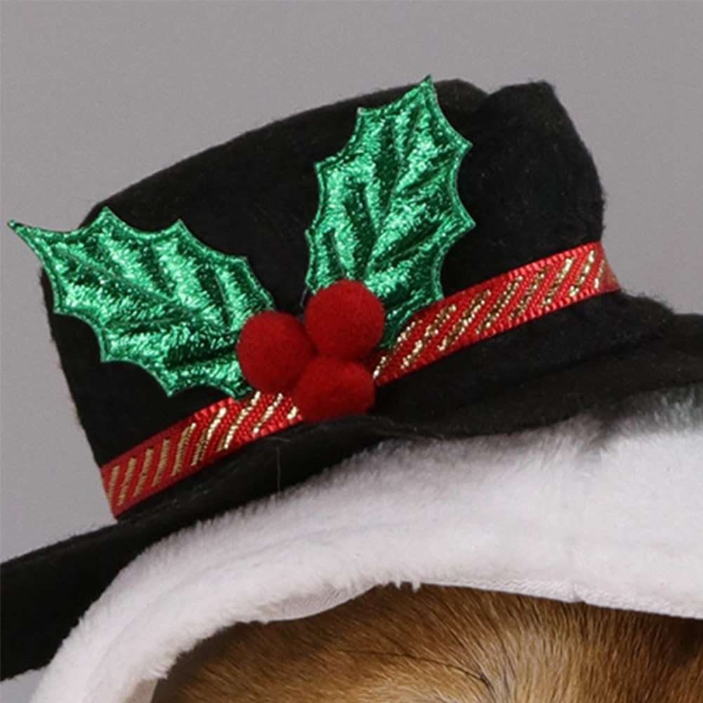 Détails de notre déguisement pour chat et chien - Bonhomme de neige