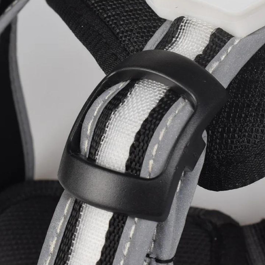 Boucle de notre harnais avec LED pour chien