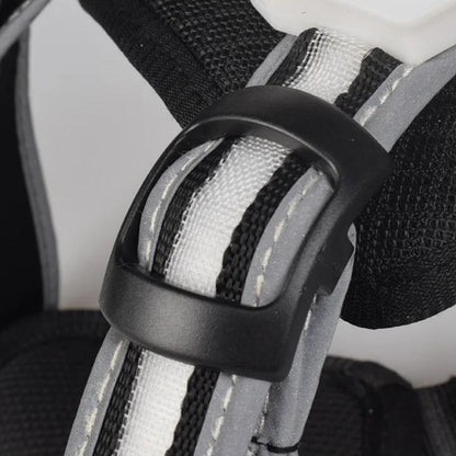 Boucle de notre harnais avec LED pour chien