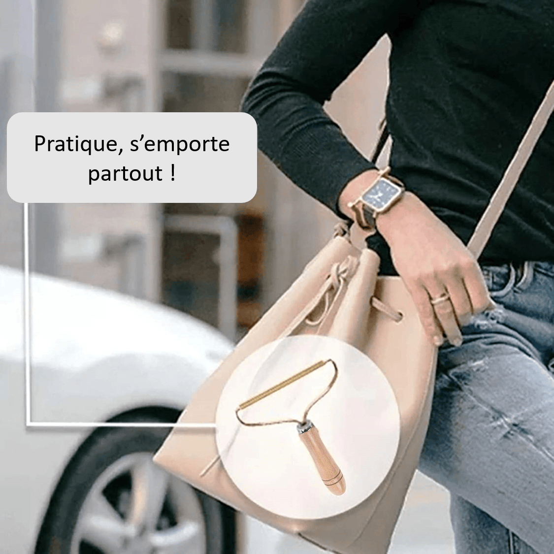 Brosse rasoir anti poils pour animaux à emporter partout