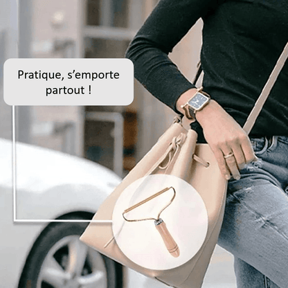 Brosse rasoir anti poils pour animaux à emporter partout